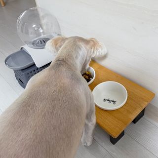 혬공주님이 올린 리뷰 사진 1