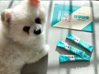 펫시랩 반려견용 액상 프리바이오틱스 아쿠아펫 — 4.5점을 준 리뷰어가 2021년 1월 올린 사용 사진