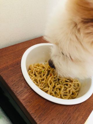 Lily님이 올린 리뷰 사진 2