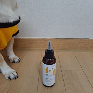 여왕개미님이 올린 리뷰 사진 4