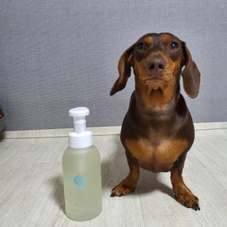 아미퓨어 [라이브] 피부장벽 강화를 위한 머랭 버블 클렌저 천연계면활성제로 온가족 사용가능 — 5점을 준 리뷰어가 2021년 7월 올린 사용 사진