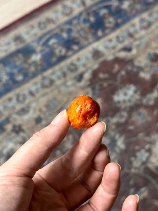 수피님이 올린 리뷰 사진 1