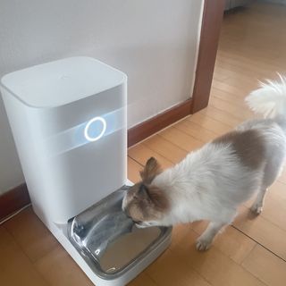 MoonHeeChoi님이 올린 리뷰 사진 3