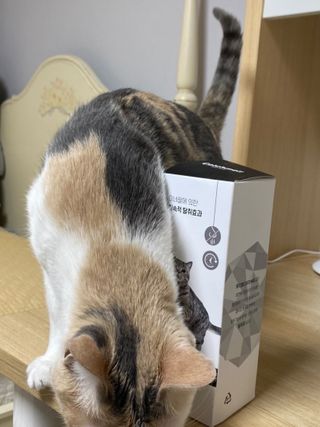 조이한님이 올린 리뷰 사진 2