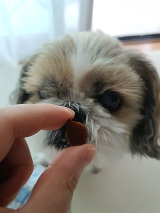민우다빈이맘님이 올린 리뷰 사진 1