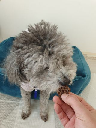 갱스님이 올린 리뷰 사진 3