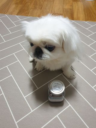 페페로니 진짜 오메가3 연어+소고기 180g+180g — 5점을 준 리뷰어가 2021년 7월 올린 사용 사진
