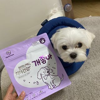 HanaCha님이 올린 리뷰 사진 1