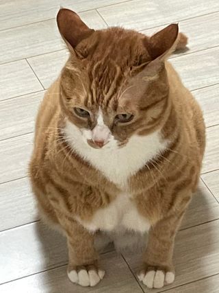 채한별님이 올린 리뷰 사진 2