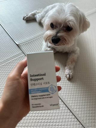 댕댕이님이 올린 리뷰 사진 2