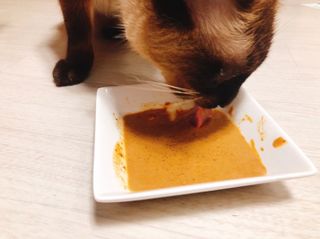 모닝스타님이 올린 리뷰 사진 3