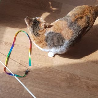 ㅇ님이 올린 리뷰 사진 1
