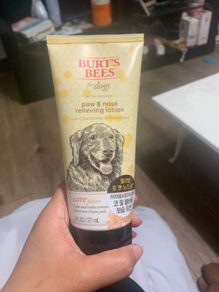 감자왕감자님이 올린 리뷰 사진 1
