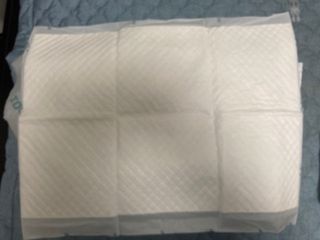 아베크 펫 와이드 프리미엄 중형 애견 강아지 배변 패드 54매 1팩 45g — 5점을 준 리뷰어가 2021년 7월 올린 사용 사진