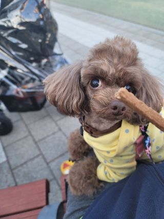 나초단맘님이 올린 리뷰 사진 2