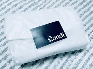 헤어플러스 콴디 아침세안제 폼클렌징 퓨어 어니스티 모닝클렌저 — 5점을 준 리뷰어가 2021년 3월 올린 사용 사진