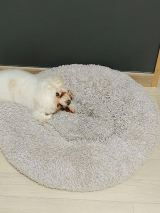 햇님달님님이 올린 리뷰 사진 3