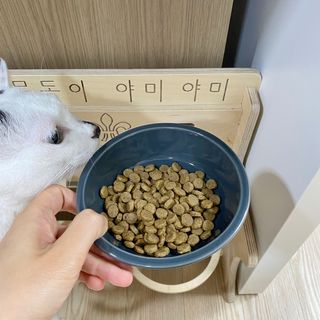몽동이님이 올린 리뷰 사진 2