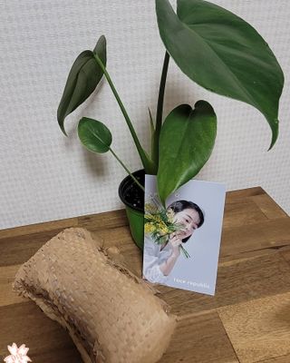 박꽃님이 올린 리뷰 사진 1