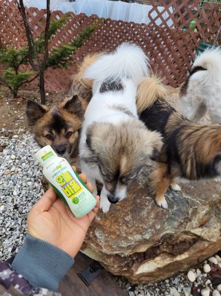 오둥이맘님이 올린 리뷰 사진 3