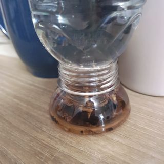 차가운달님님이 올린 리뷰 사진 1