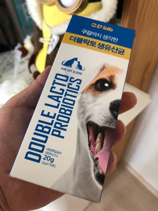 씨디랩 구강에서 장까지 한 번에 관리하는 더블락토 강아지 고양이 유산균 — 5점을 준 리뷰어가 2021년 6월 올린 사용 사진
