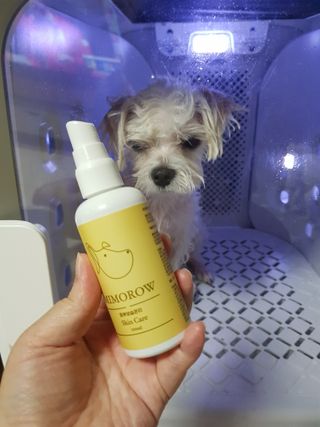 곽현정님이 올린 리뷰 사진 1
