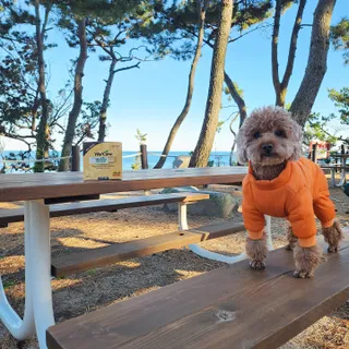 사랑해안시영님이 올린 리뷰 사진 2