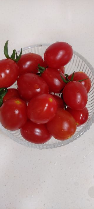 레드닥터  대추방울토마토 + 매콤새콤달콤 레드닥터 토마토 소스 — 4점을 준 리뷰어가 2022년 12월 올린 사용 사진