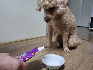진진이님이 올린 리뷰 사진 2