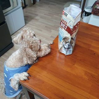 기린짱맘님이 올린 리뷰 사진 4