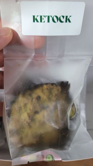 미야잉님이 올린 리뷰 사진 2