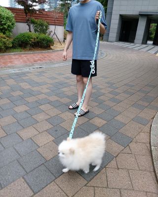 리디아은서님이 올린 리뷰 사진 3