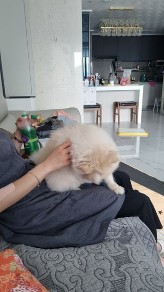 몽베스트 Montbest with Sparkling water Lime20병 — 5점을 준 리뷰어가 2022년 9월 올린 사용 사진
