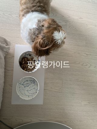 박코끼리님이 올린 리뷰 사진 4