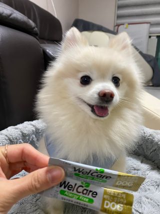 은희와정연님이 올린 리뷰 사진 1