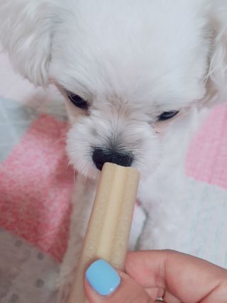 미진냥님이 올린 리뷰 사진 2