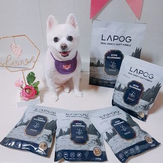 [푸디웜] 라포그 리얼인섹트 소프트키블 스킨 1KG — 5점을 준 리뷰어가 2022년 9월 올린 사용 사진