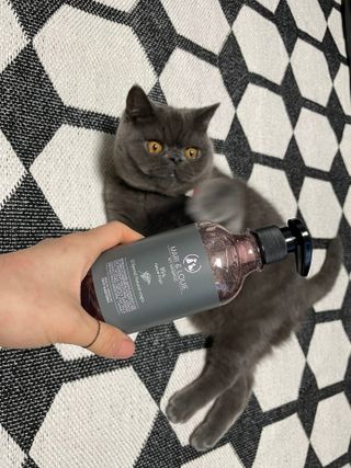 마리앤루이펫샴푸 [mari and louie pet shampoo] — 5점을 준 리뷰어가 2021년 5월 올린 사용 사진