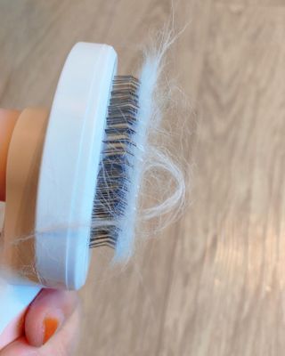 럽S하3님이 올린 리뷰 사진 4