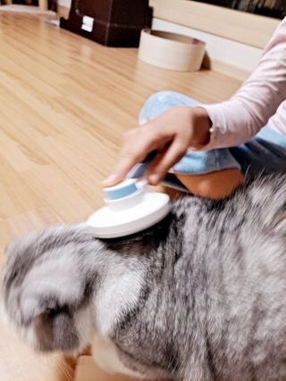 라니으니님이 올린 리뷰 사진 4