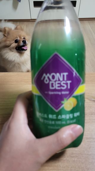 몽베스트 Montbest with Sparkling water Lemon OR Lime 20병(랜덤) — 5점을 준 리뷰어가 2022년 8월 올린 사용 사진