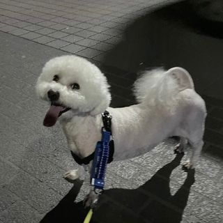 융투님이 올린 리뷰 사진 2