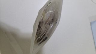 fall님이 올린 리뷰 사진 3