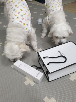 뽀야님이 올린 리뷰 사진 3