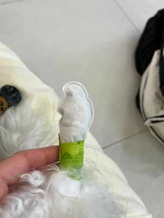코보콩 에어슈즈 강아지 일회용 신발 소용량 패키지 20매 초경량  미끄럼방지 실내외 겸용 — 5점을 준 리뷰어가 2022년 2월 올린 사용 사진
