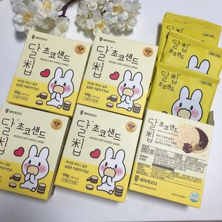 네이처오다 달칩 초코샌드 — 5점을 준 리뷰어가 2021년 1월 올린 사용 사진