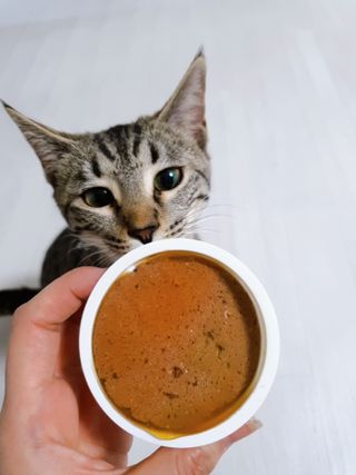 yumegom님이 올린 리뷰 사진 2