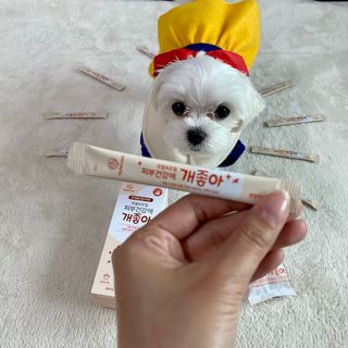 My Pet Care 모발과 모질 피부건강에 개좋아 — 4점을 준 리뷰어가 2021년 3월 올린 사용 사진