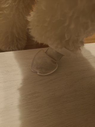 코보콩 에어슈즈 강아지 일회용 신발 소용량 패키지 20매 초경량  미끄럼방지 실내외 겸용 — 5점을 준 리뷰어가 2022년 2월 올린 사용 사진